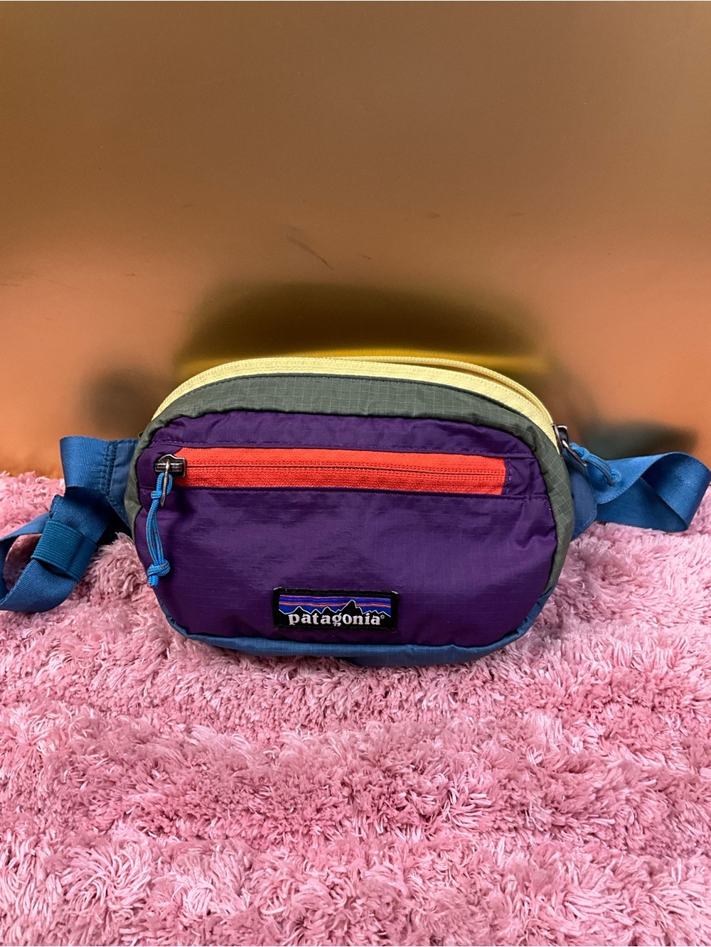 Patagonia Purple and Red Accent Waist Pack